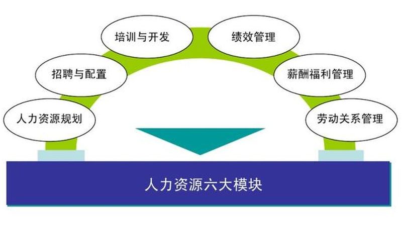 上海企业用工方案代理：合规与效率的双重保障**